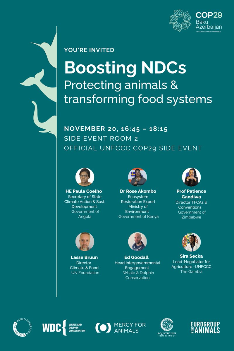 What do wildlife protection &amp; food systems have in common? 

Find out why both go hand in hand when boosting climate action in this conversation w/ <a href="/PatienceGandiwa/">Patience Gandiwa</a>, <a href="/edgoodall/">Ed Goodall</a>, <a href="/bruunlasse/">Lasse Bruun</a> &amp;  more.

Co-hosted w&amp; <a href="/whalesorg/">Whale and Dolphin Conservation (WDC)</a>, <a href="/Act4AnimalsEU/">Eurogroup For Animals</a> &amp; <a href="/aquaticlifeins/">Aquatic Life Institute</a>. 

#Animals4Climate