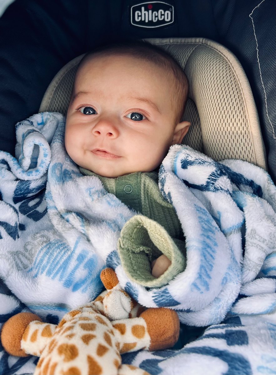 Emily Holi tweet media