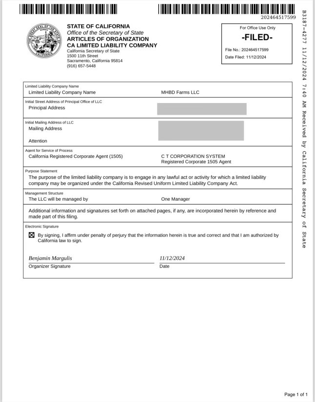 Laura Loomer tweet media