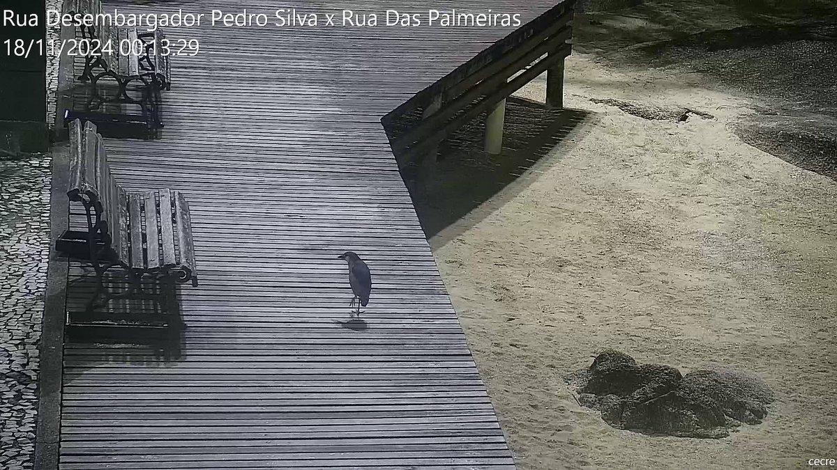MonitoramentoSC's tweet photo. #Florianopolis #Itaguaçu https://t.co/yRUWqyjLD8