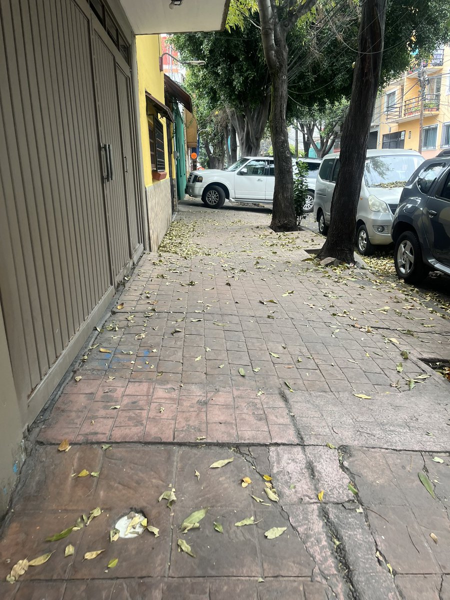 Alberto Muñoz tweet media