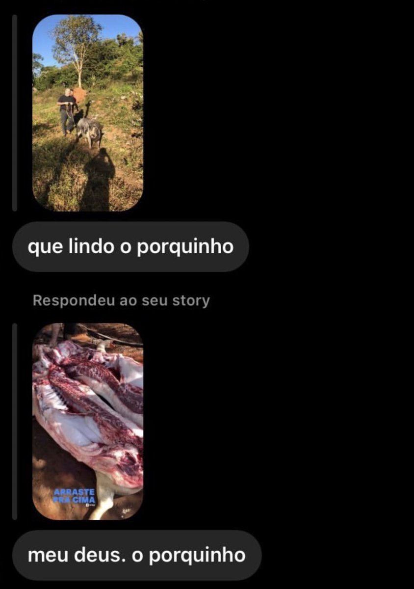 lendo_conversas's tweet photo. https://t.co/byYuiDDEE2