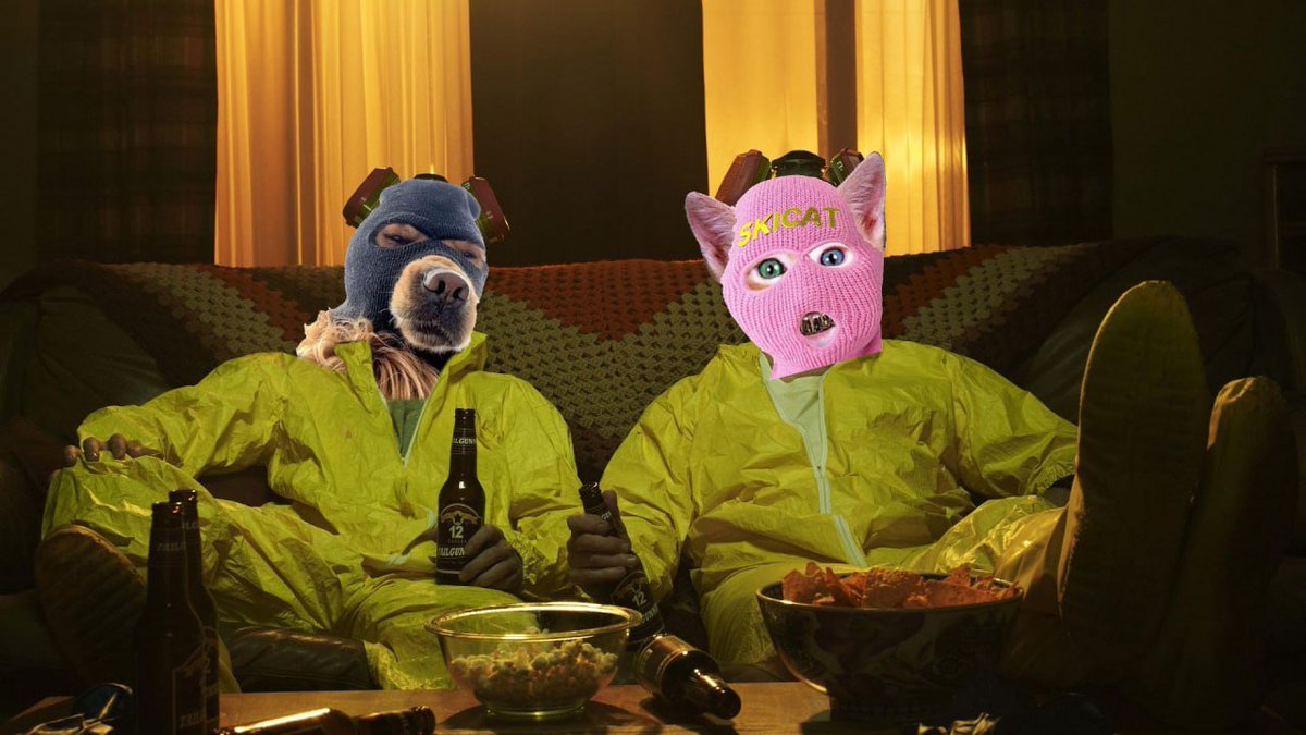 Ignite_alpha's tweet photo. @CrashiusClay69 If u looking for the next +10m coin it's $skicat.
$skidog at 40m and $skicat at 400k.. ez 100x
CA:
0xA6f774051dFb6b54869227fDA2DF9cb46f296c09 https://t.co/LguD12TGGj