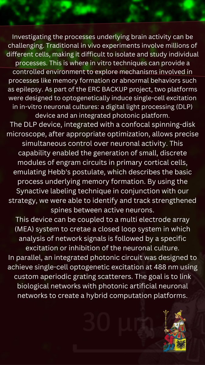 📢 new MIDA seminar coming soon!🥁 

🗓 Date:  November 19th 2024, 4pm 
🎙 Who: Clara Zaccaria, Università di Trento
🗺 Venue:  705 - DIMA
🖥  lnkd.in/dkAyY4rT
 
Title of the seminar: Platforms for single cell optogenetics on in-vitro neuronal cultures ⚗ 
See you!