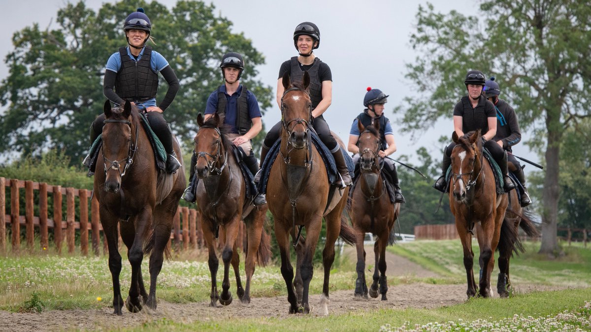 Richard Newland & Jamie Insole Racing (@urloxheystables) on Twitter photo We pride ourselves on having a dedicated, happy, hardworking team whose efforts are noticed and appreciated. Our staff development program offers all staff the opportunity to have access to a qualified tutor to learn new skills and develop their career. We pride ourselves on having a dedicated, happy, hardworking team whose efforts are noticed and appreciated. Our staff development program offers all staff the opportunity to have access to a qualified tutor to learn new skills and develop their career.