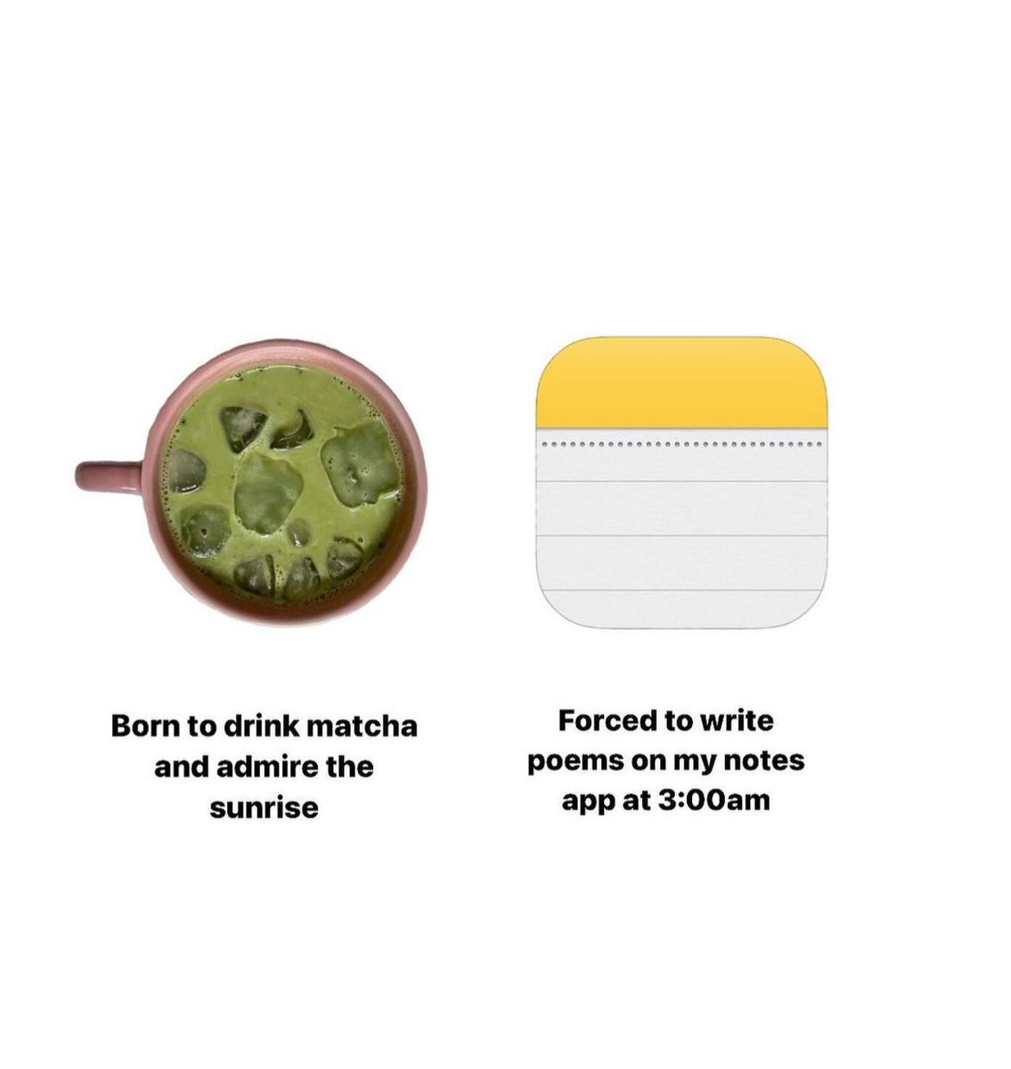 cosmicbunny tweet media