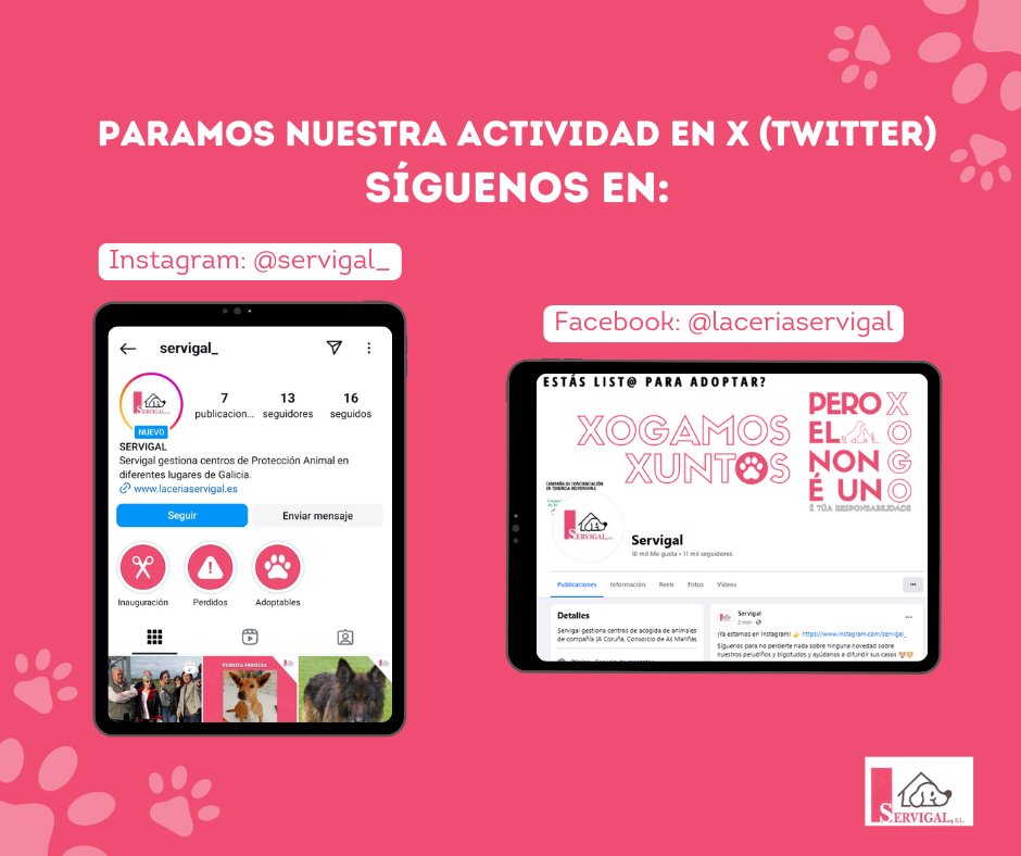 Paramos nuestra actividad en X (Twitter). Puedes seguir enterándote de las novedades sobre nuestros peludiños y bigotudos y ayudándonos a difundir en:

🔹 Instagram 👉 instagram.com/servigal_
🔹 Facebook 👉 facebook.com/LaceriaSERVIGA…

Gracias por formar parte de nuestra comunidad ☺️
