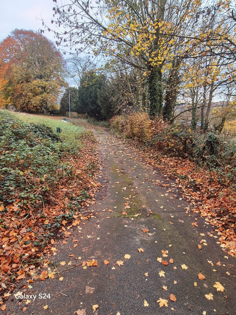 Christopher Z. Dlamini (PhD) tweet media