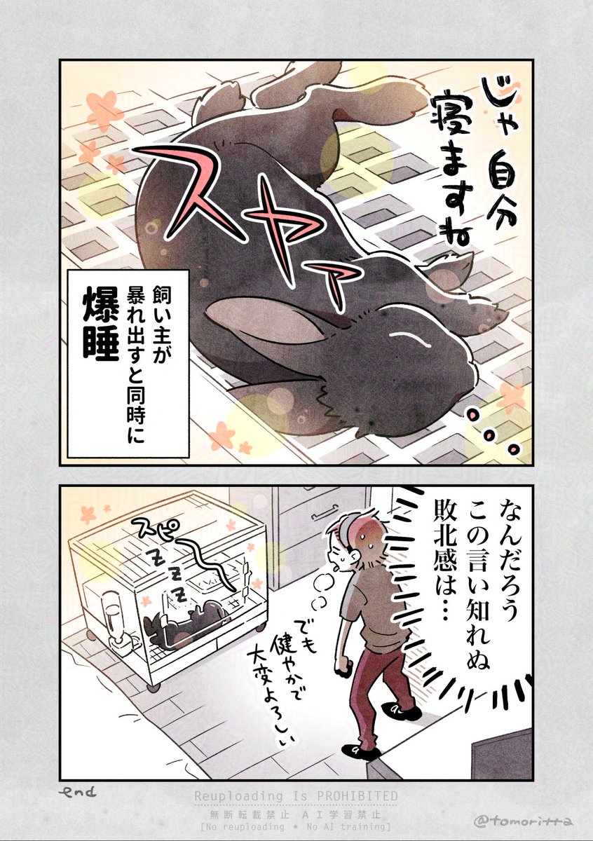 まあまあうるさいはずなのにスルースキルが高くて感心します…😂
#うさぎがいる暮らし
#漫画が読めるハッシュタグ