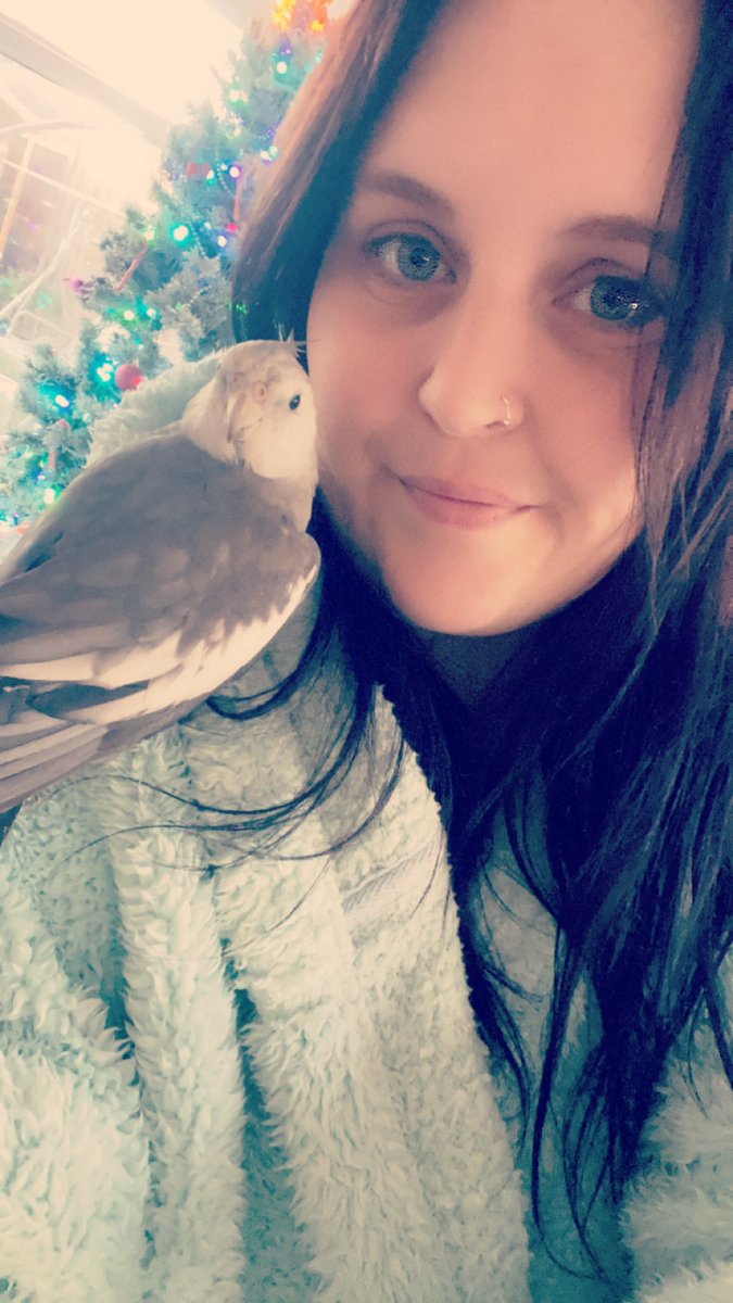 Freddie The Tiel tweet media