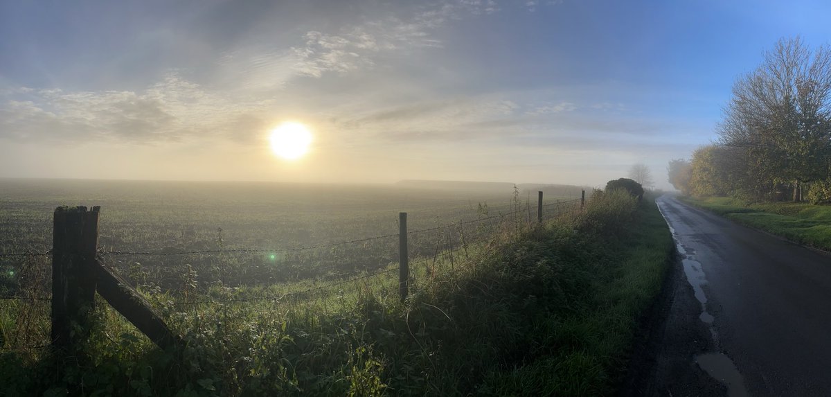 Dr Egnor tweet media