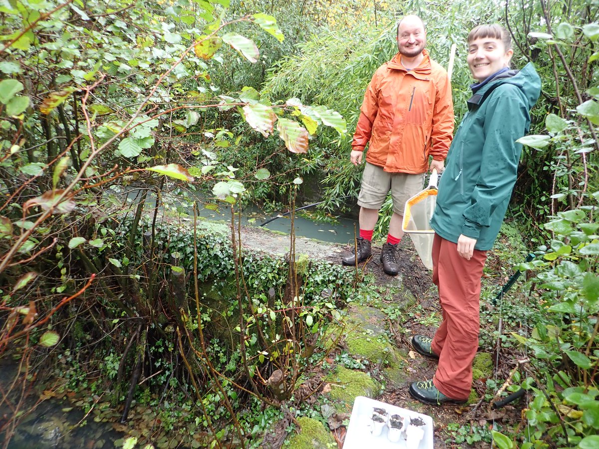 Merops Field Studies tweet media