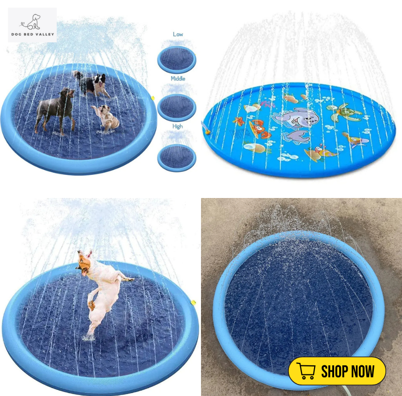 dogbedvalley's tweet photo. 🐶🌊 Summer is calling Keep your four-legged pals cool and with our Splash Sprink Pad! Perfect for days and endless fun ☀️🔥 Get yours today 🏖️

Shop Now: https://t.co/xk2CUDS6l1 https://t.co/JgoWxrwbVR