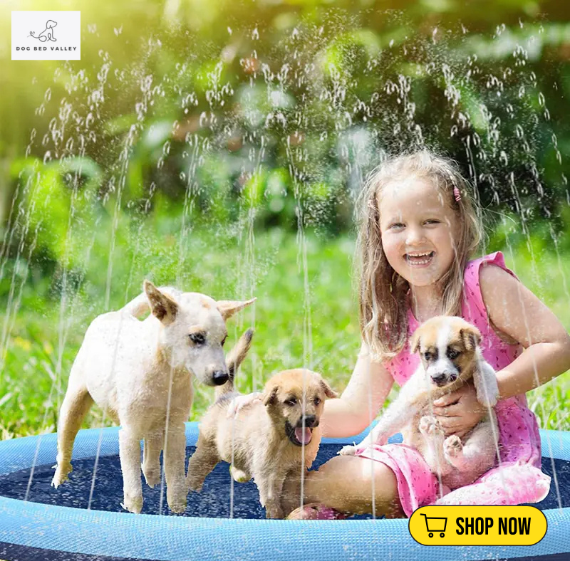 dogbedvalley's tweet photo. 🐶🌊 Summer is calling Keep your four-legged pals cool and with our Splash Sprink Pad! Perfect for days and endless fun ☀️🔥 Get yours today 🏖️

Shop Now: https://t.co/xk2CUDS6l1 https://t.co/JgoWxrwbVR