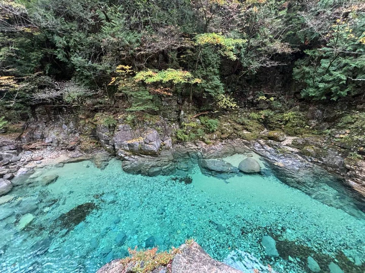 先週末の阿寺渓谷