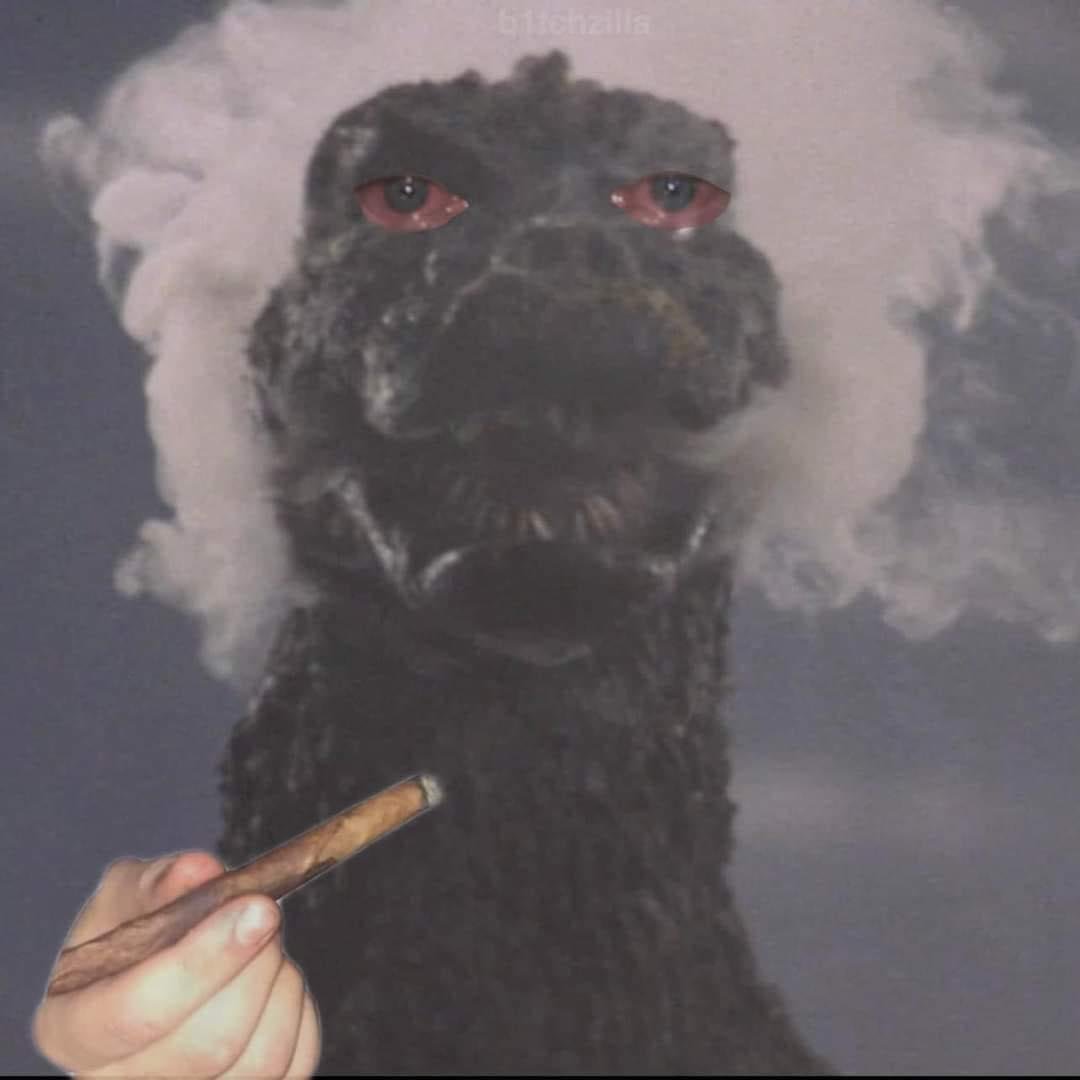 What are your most insane ideas for a Godzilla film?