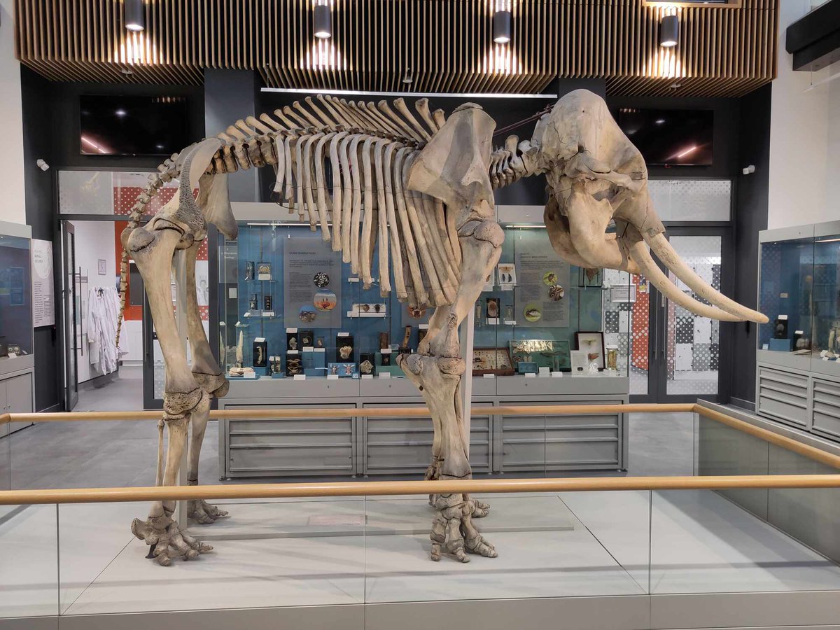 William Cross (@wchcross) on Twitter photo Second week as a lecturer at <a href="/UniofReading/">Uni of Reading</a> <a href="/ReadingBioSci/">UoR BioSci</a> The most striking aspect of my new surroundings is the <a href="/ColeZoology/">Cole Zoology Museum</a> museum downstairs. Interested in evolution and all things life science - come and visit us. Second week as a lecturer at <a href="/UniofReading/">Uni of Reading</a> <a href="/ReadingBioSci/">UoR BioSci</a> The most striking aspect of my new surroundings is the <a href="/ColeZoology/">Cole Zoology Museum</a> museum downstairs. Interested in evolution and all things life science - come and visit us.