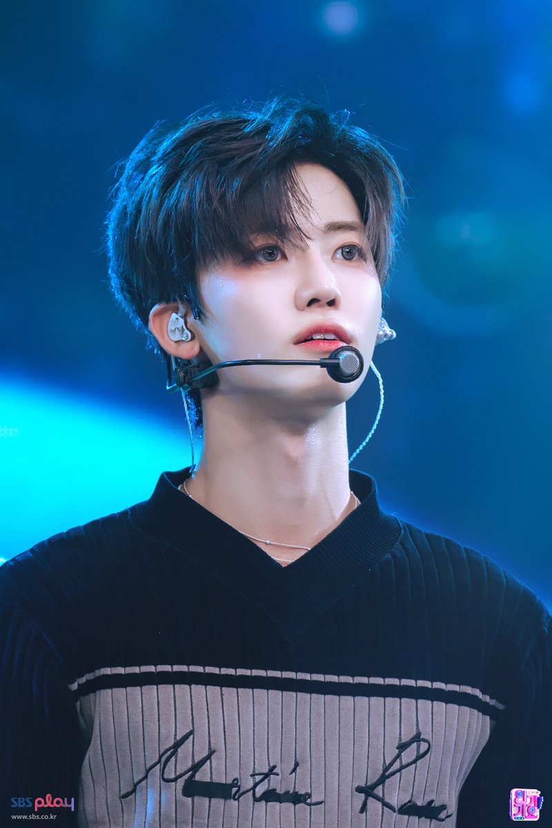 자몽 tweet media