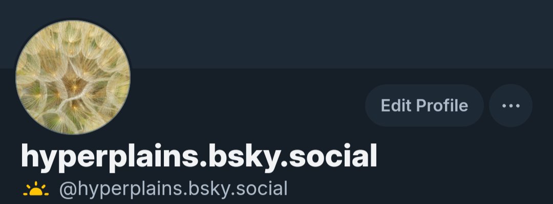 hyperplains's tweet image. catch you on the flipside 👋