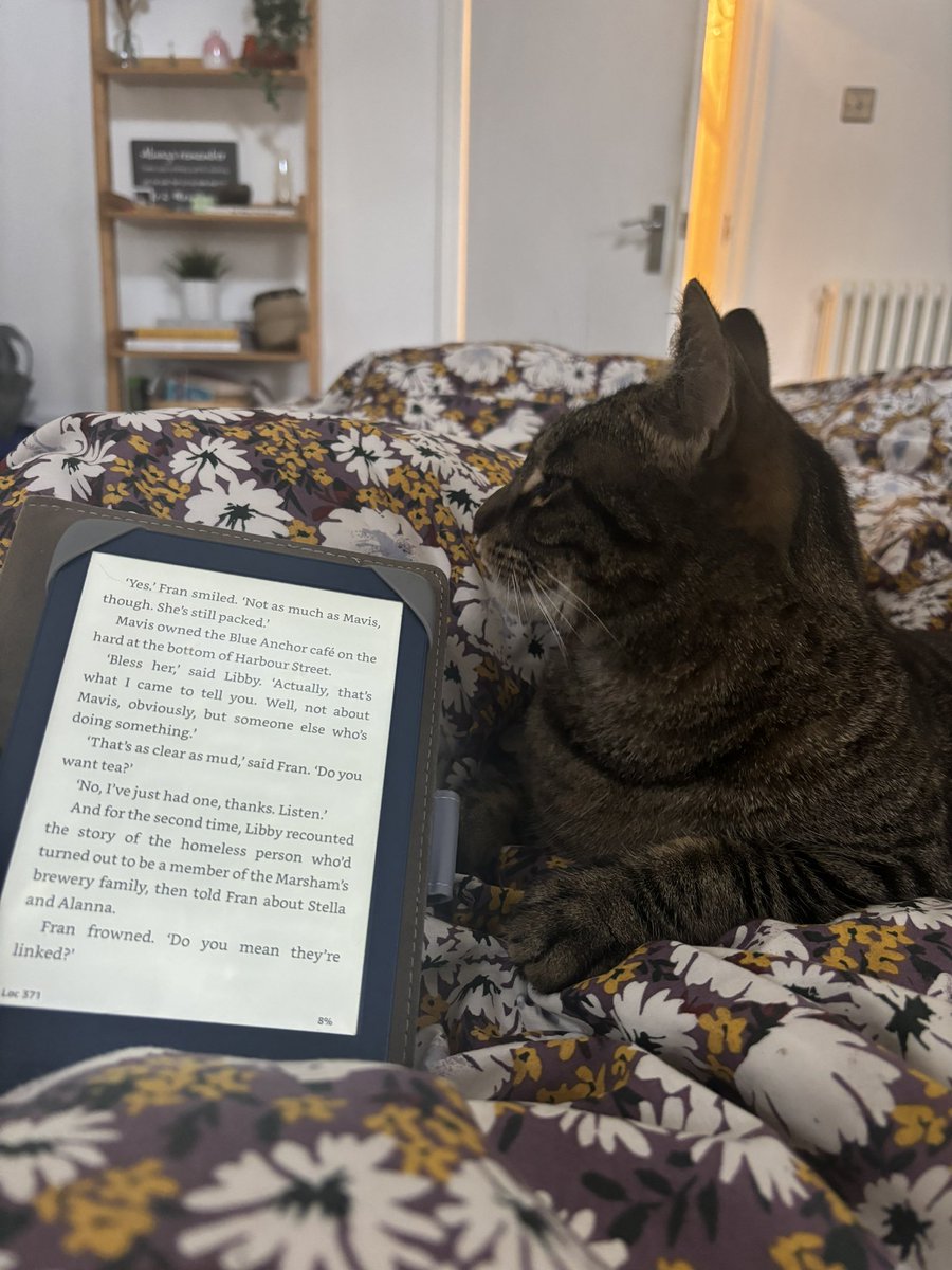 Happy Monday everyone, for those of you who didn’t get tickets yesterday and are a bit sad (me) here’s my cat reading a book
(Plus there’s loads of other cool festivals INCLUDING OURS hopefully) #Glastonbury
