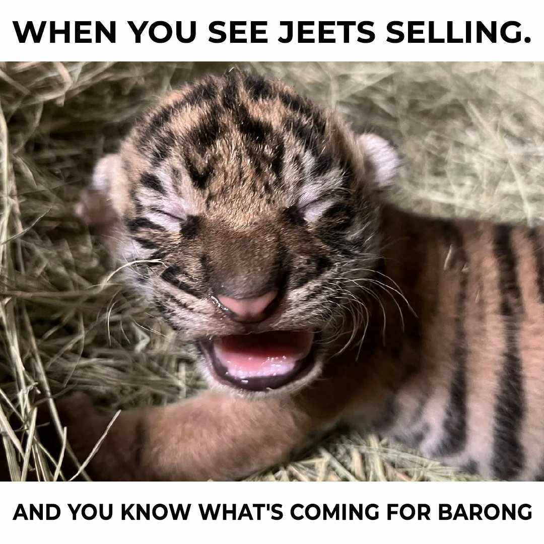 Barong_CTO's tweet image. It’s Monday… We know the feeling😴

Let’s turn those Monday Blues into Monday Roars! 🐯

We’re thrilled to announce our Barong Meme Competition! 🎉 Because what’s better in crypto than a good meme?

Prizes:

🥇 1st Place: $100 in SOL (chosen by the Barong team!)
🥈 2nd Place:…