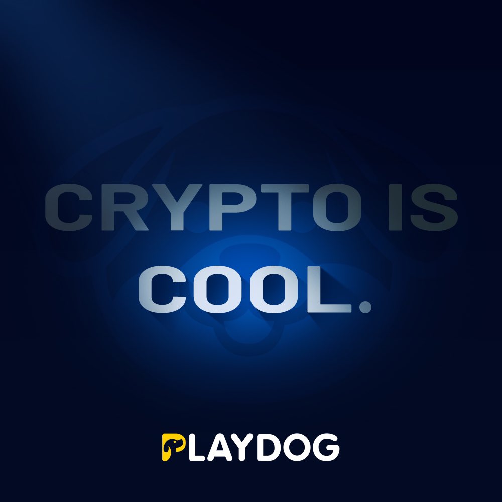 PLAYDOG tweet media