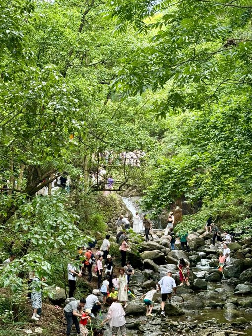 山の上はまだまだ涼しいですね