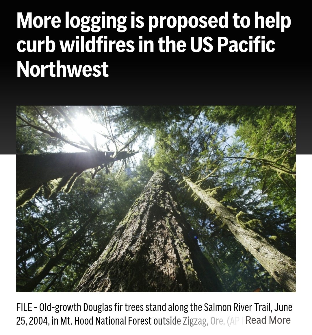 Real_EdDiehl's tweet image. Amazing news!  And it's about time.

U.S. officials would allow increased logging on federal lands across the Pacific Northwest in the name of fighting wildfires and boosting rural economies under proposed changes to a sweeping forest management plan that’s been in place for…