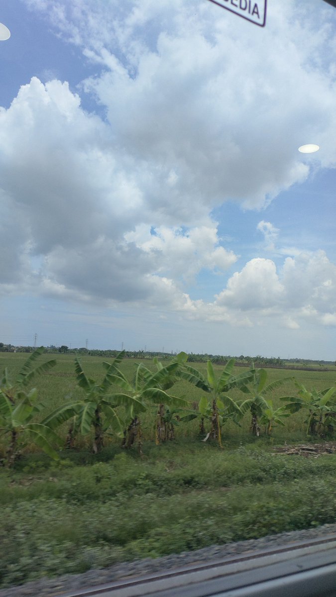 MuhammadFarakhi's tweet photo. Emangnya boleh ya kereta Dharmawangsa (kursi satu arah) kursinya diputer balik sendiri? Akibatnya kursi depannya (yg awal) terjepit sandaran punggungnya gak bisa dimundurin. @KAI121  Eko-6 11C-11D 🫢 https://t.co/FW6VNc3sEM