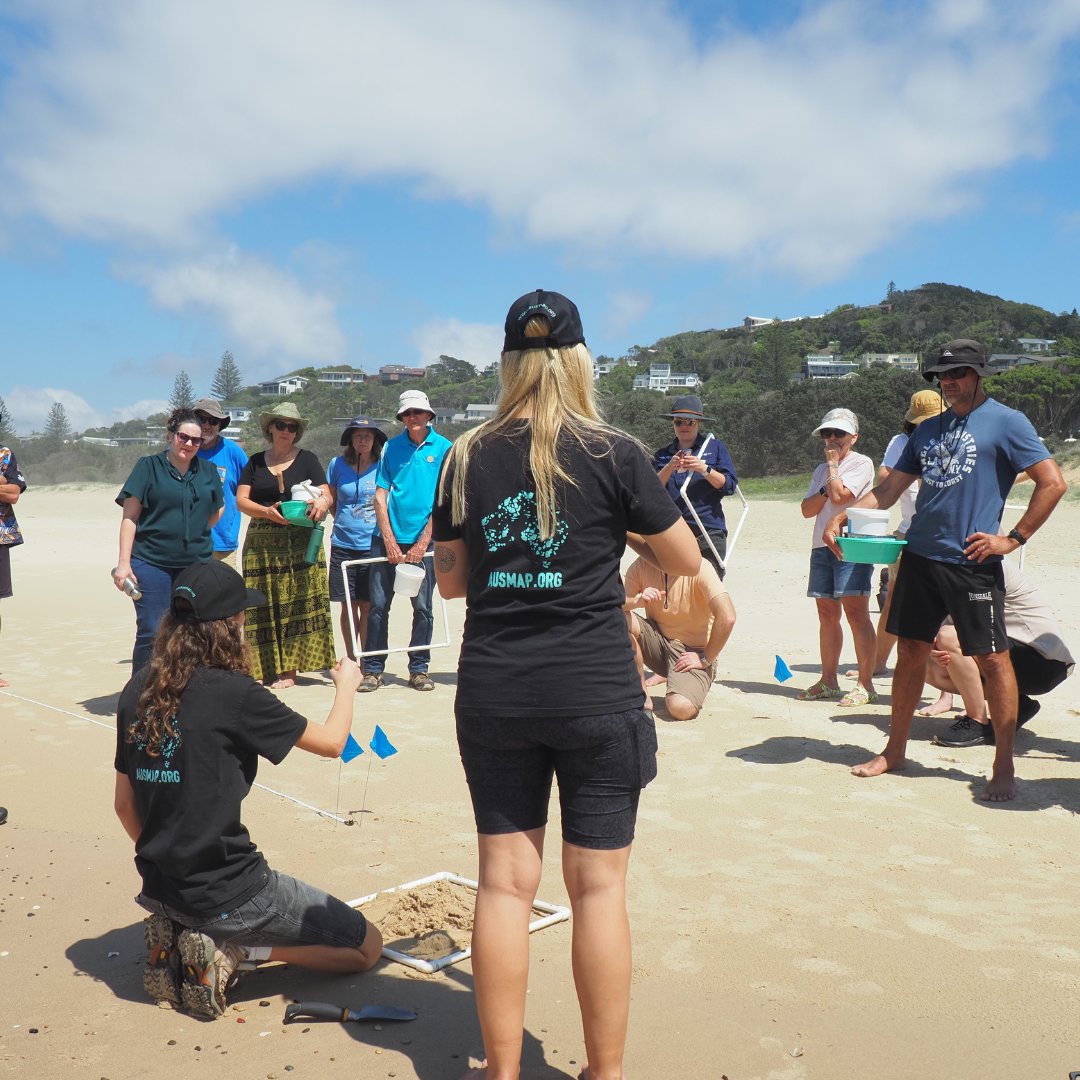 AUSMAP : microplastic tweet media