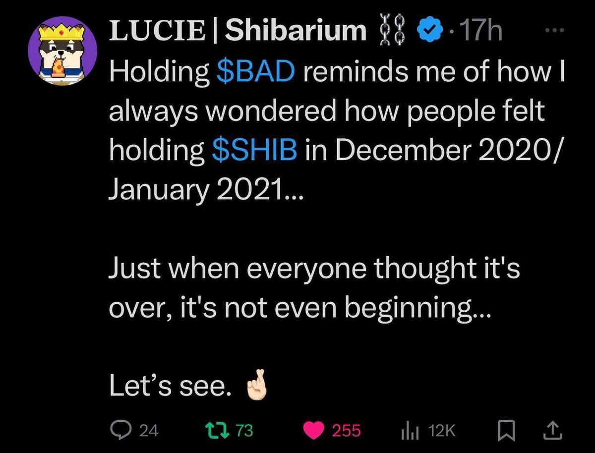 BADARABICARMY's tweet photo. Holding $BAD reminds me how I always wondered how people felt holding $SHIB in Dec 2020/Jan 2021...

 Just when everyone thought it was over, it has yet to begin…

 let me see  🤞🏻 https://t.co/adebH0mxbQ