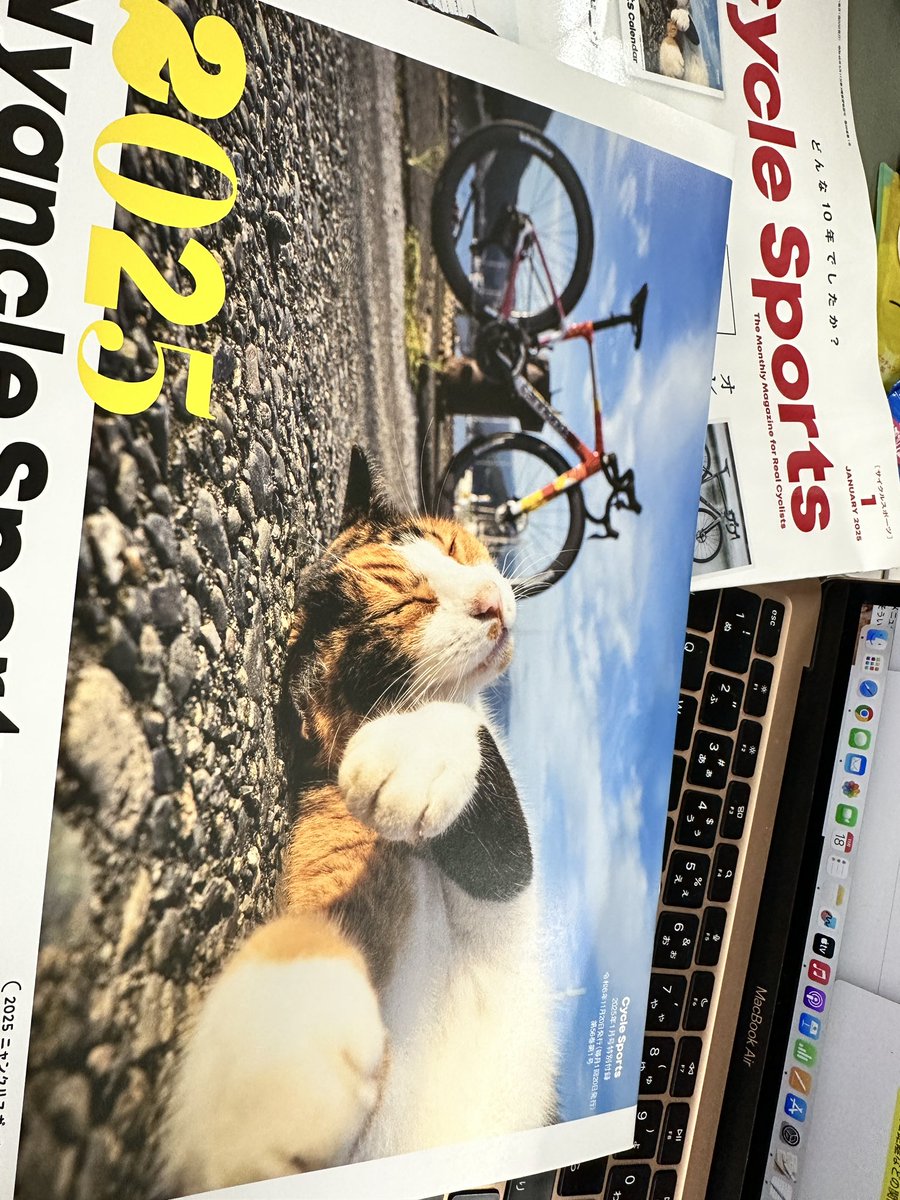 ニャンクルスポーツカレンダーできましたよ…！！！11/20はつばい！ぜひ！！！