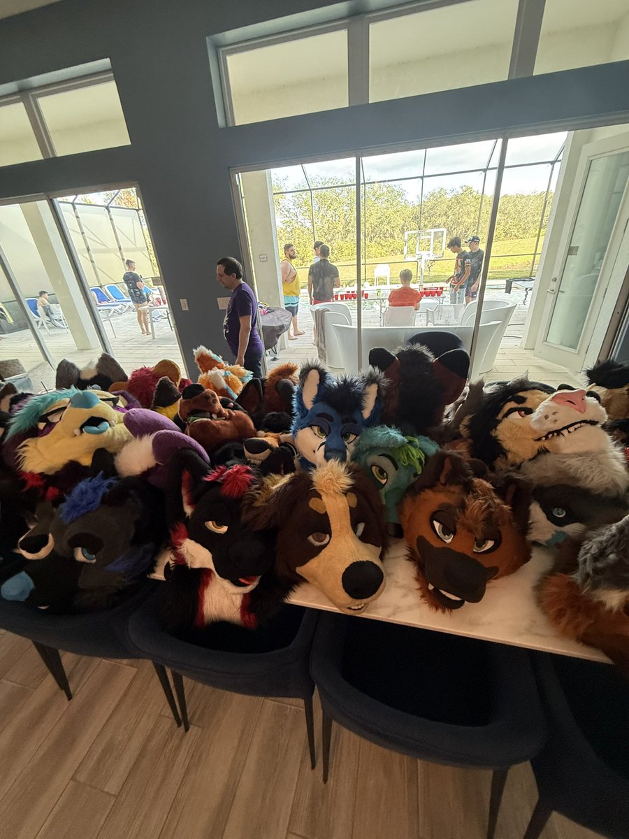 ArcherFoxy's tweet image. My first #divication was SO much fun!! Incredible weekend and tons of memories made. Feeling very grateful to be a part of this community 💙💙

#dv7