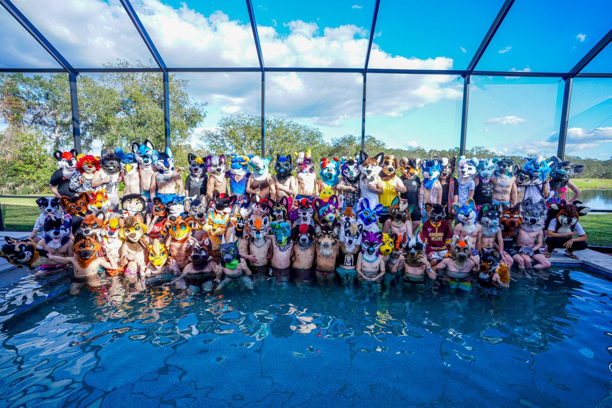 ArcherFoxy's tweet image. My first #divication was SO much fun!! Incredible weekend and tons of memories made. Feeling very grateful to be a part of this community 💙💙

#dv7