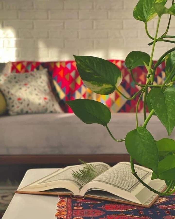 ايا من تكن
تذكر قبل ان تكتب في مواقع التواصل الاجتماعي بأنك ستقف امام الله وتحاسب على ماكتبته،(قل خيراً او اصمت) 
#اترك_اثرا
#كلمة_خير