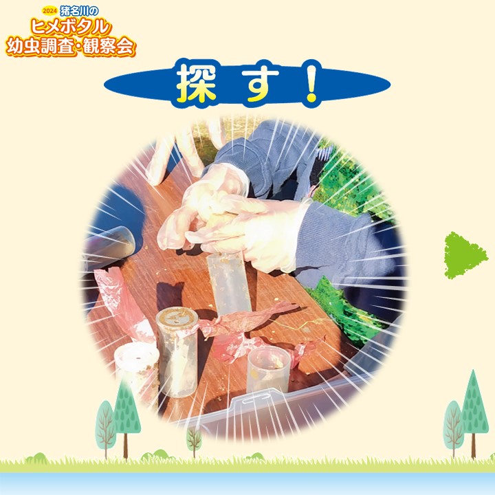 mlit_inagawa's tweet image. 『2024猪名川のヒメボタル幼虫調査・観察会』
#イベント 内容をご紹介♪
#猪名川 にすむ #ヒメボタル 幼虫を調査するため
①トラップ゚を回収する
②ヒメボタルの幼虫を探す
③ヒメボタル幼虫の結果発表
+お楽しみコーナー♪
を体験します!
事前登録は11/24(日)まで、ぜひご参加ください。
#親子