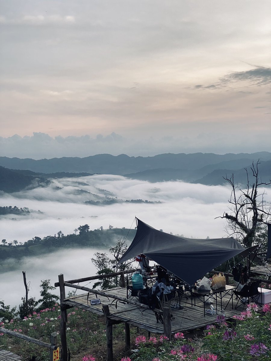 earth2346's tweet photo. ลานกางเต็นท์ม่อนหมอกตะวัน ⛺️⛰️🍃 https://t.co/VgfeyUoA71
