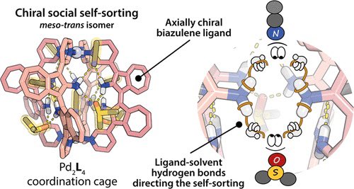 Top Science (@isciverse) on Twitter photo Solvent-Directed Social Chiral Self-Sorting in Pd2L4 Coordination Cages
<a href="/J_A_C_S/">J. Am. Chem. Soc.</a> <a href="/isciverse/">Top Science</a> #Chemistry #chemed #scicomm #news #Technology #Tech #NewsBreak #research #science #AcademicTwitter
pubs.acs.org/doi/10.1021/ja… Solvent-Directed Social Chiral Self-Sorting in Pd2L4 Coordination Cages
<a href="/J_A_C_S/">J. Am. Chem. Soc.</a> <a href="/isciverse/">Top Science</a> #Chemistry #chemed #scicomm #news #Technology #Tech #NewsBreak #research #science #AcademicTwitter
pubs.acs.org/doi/10.1021/ja…