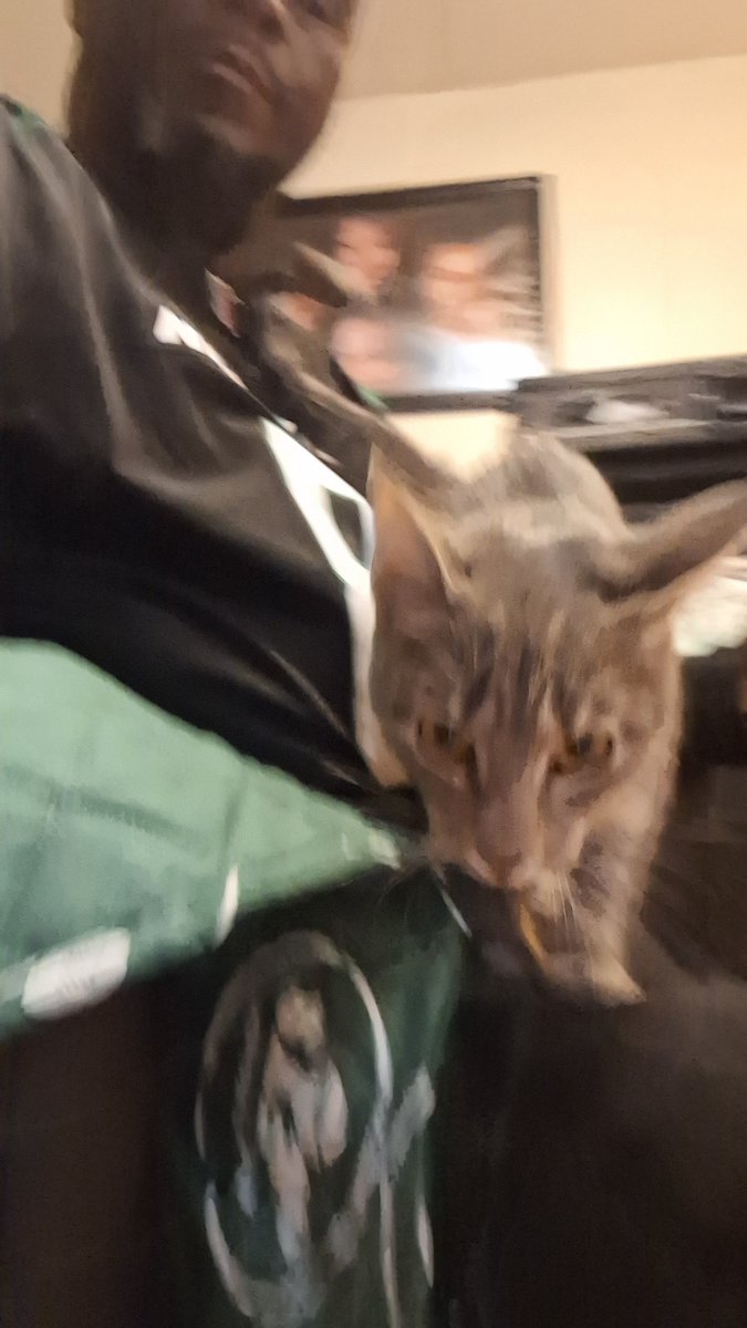 DjdocBear's tweet photo. @DjdocBear My new buddy Stoney the cat
#Gato #greycat https://t.co/j3DPxMOa1B