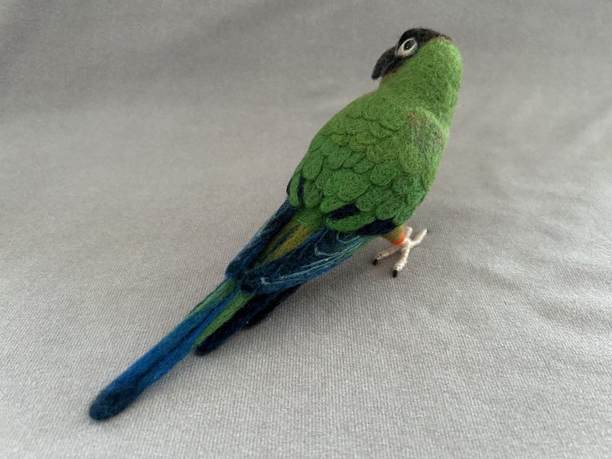 kodamambo_yu's tweet photo. #クロガミインコ
約1/2サイズ
#tinybooboo #needlefelting #needlecraft #woolwork #woolcraft #羊毛フェルト #羊毛フェルトインコ #インコグッズ https://t.co/EU93DAwomm