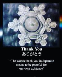 FractalizedOne's tweet photo. Waiting is a waste of invaluable energy, just be still. #ThankYou ๐ #YellowRoseforTexas https://t.co/h5BSMf7HKW