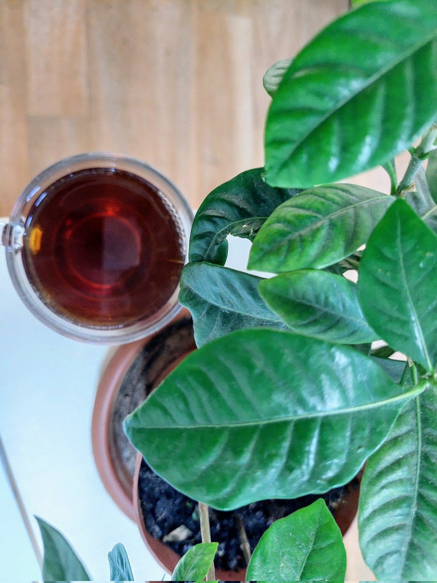 Filmin sonunda kadınlar kazanıyor.