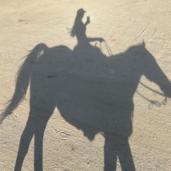 Elizabeth86601's tweet photo. Hold a breeze, ride a #steed, and gallop in the embrace of the earth. #weekendevening  horse riding is not only about galloping across the world, but also about finding the #freedom  in your heart. The sound of horse hooves seems to tell us that although the road of life has ups and downs, as long as we move forward, we can always see more distant scenery  @_Bertha_Buckle  Thank you for coming with me