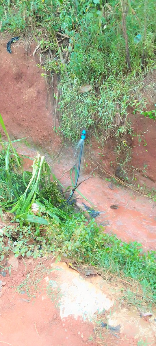 raymond73602's tweet photo. @nwscug  water pipes broken in Nabuti - mukono near Smart Nursery and primary school, alot of water being lost https://t.co/5exqUNBITJ