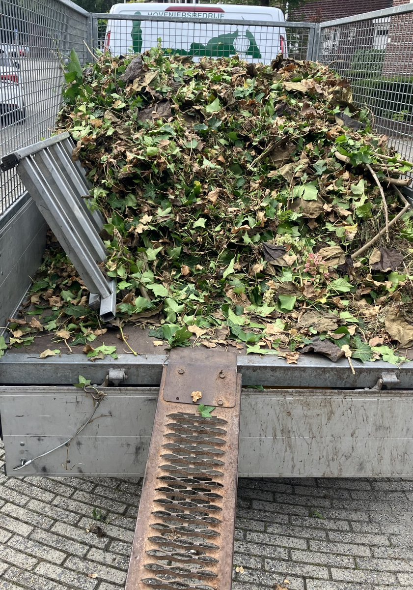 Beautiful Garden tweet media