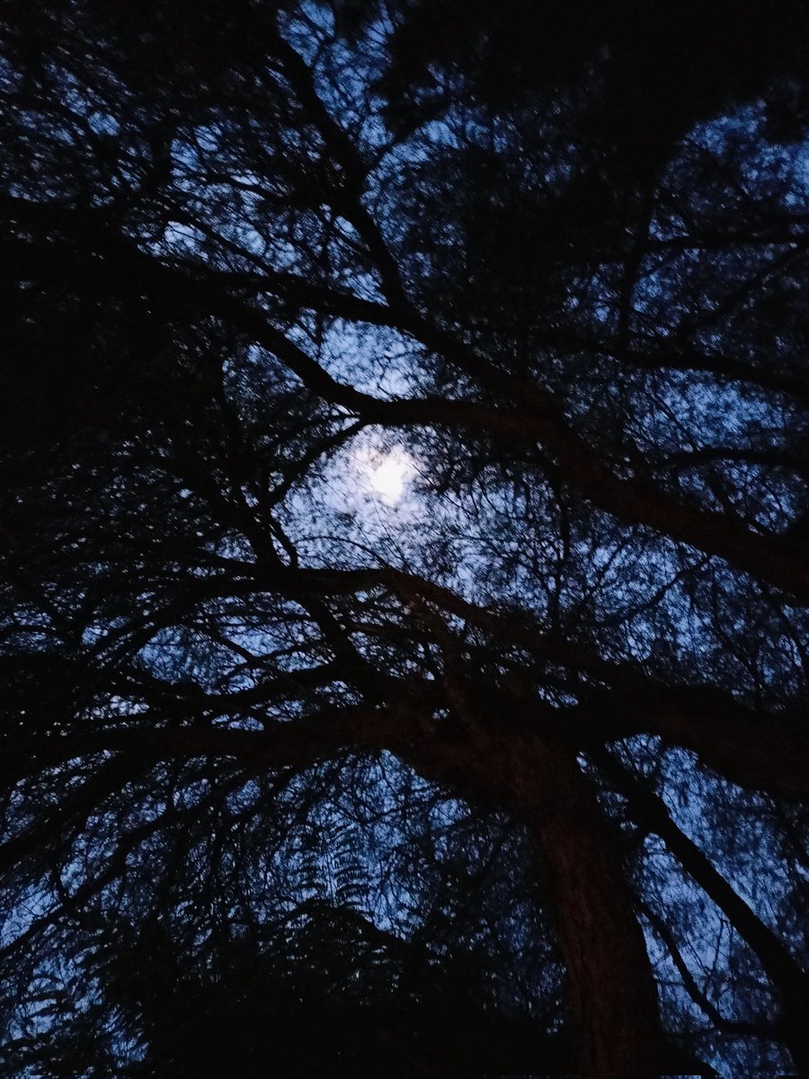 Gabrielle00j's tweet image. Feliz inicio de semana. 🍂🍁
#Buenos_días 🌞