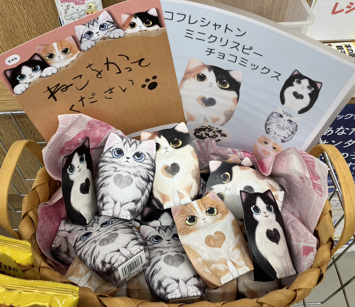 ねこをかってください🐈 コフレシャトン ミニクリスピーチョコミックス