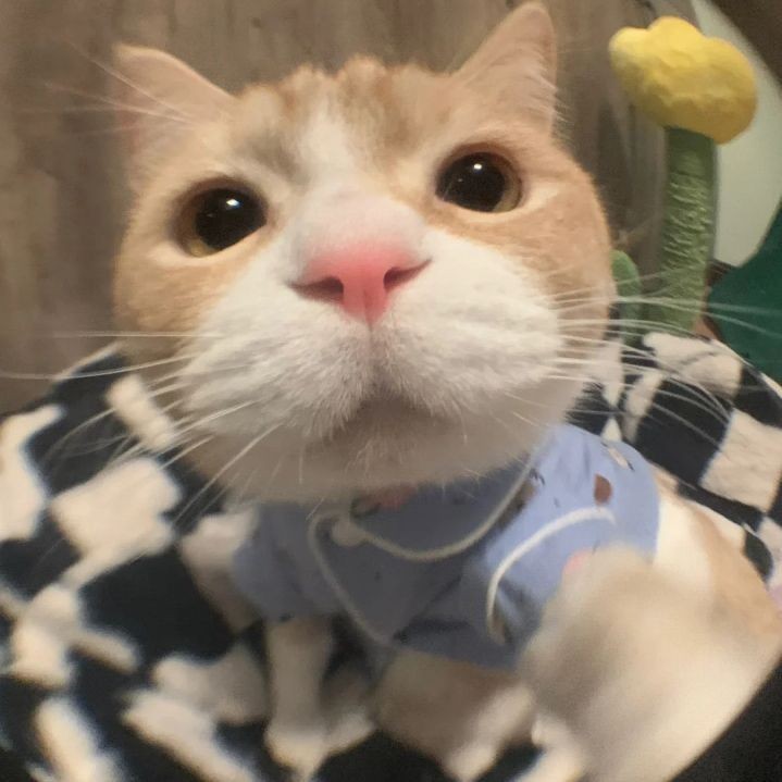 :3