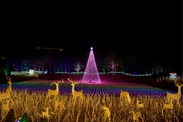 Nycci Nellis tweet media