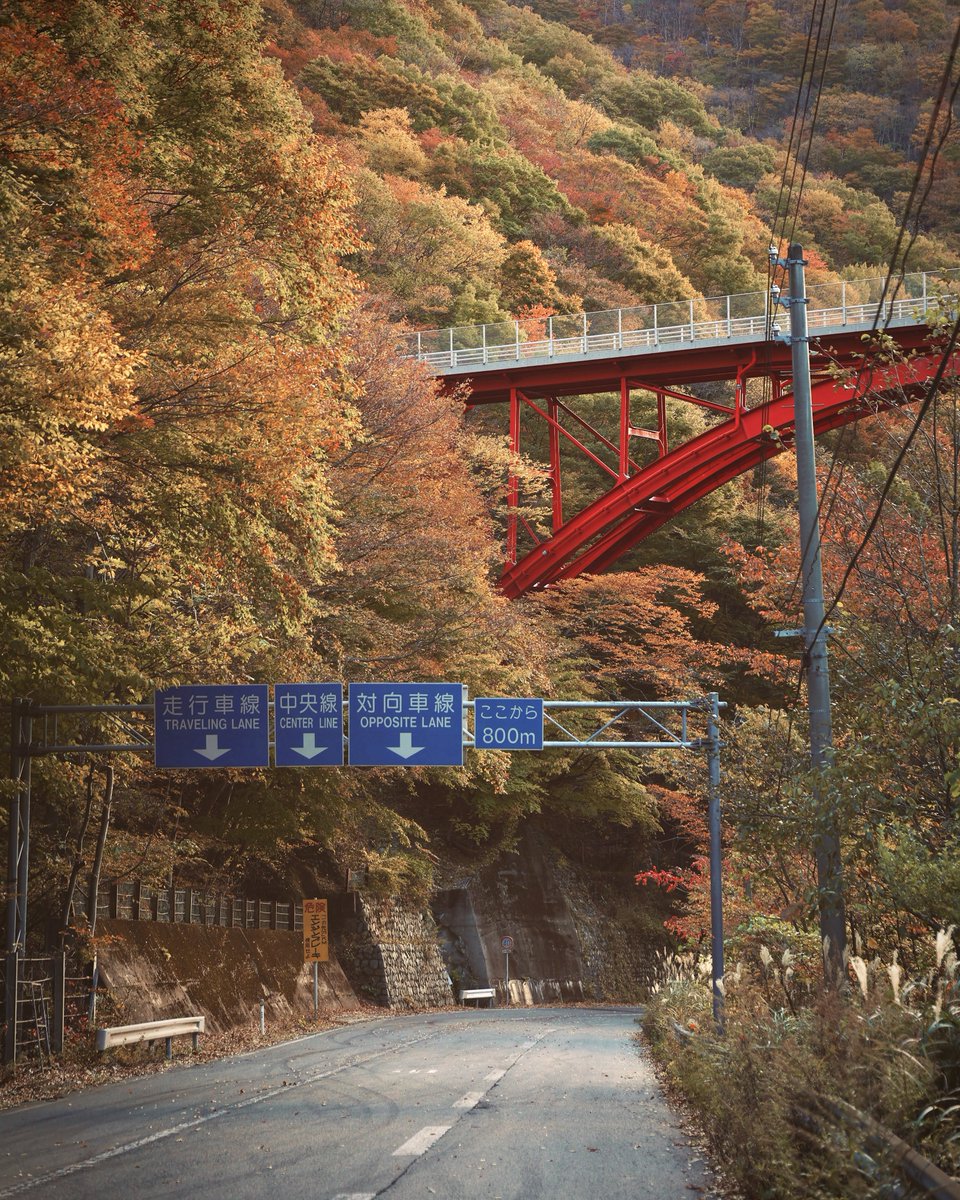 kamaishi_city's tweet photo. 仙人峠の紅葉。 https://t.co/iHK2vOYBd2